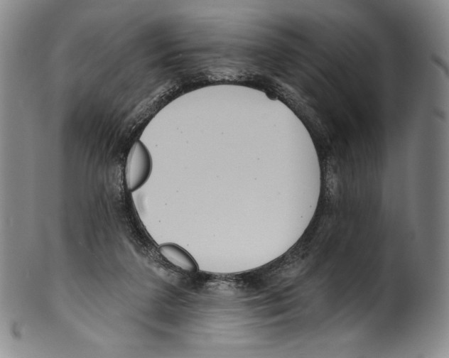 X0000099440211200806061052