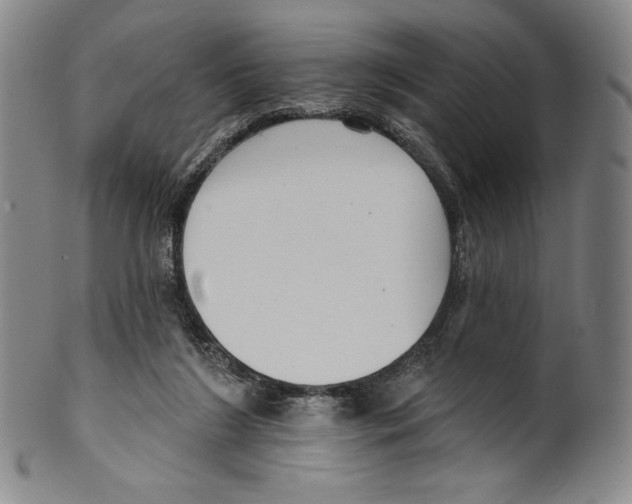 X0000099440212200806061052