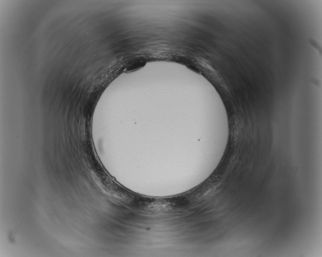 X0000099440213200806061051