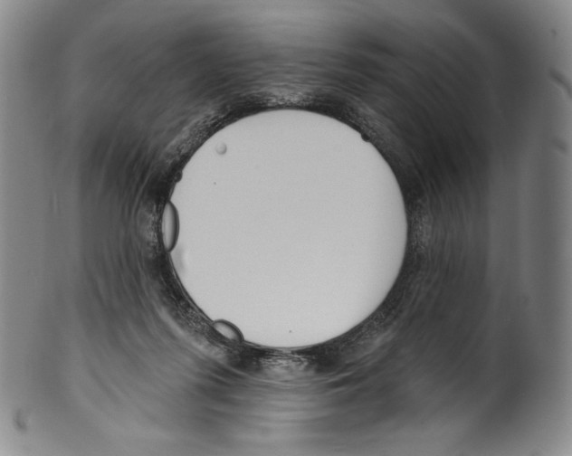 X0000099440215200806061051