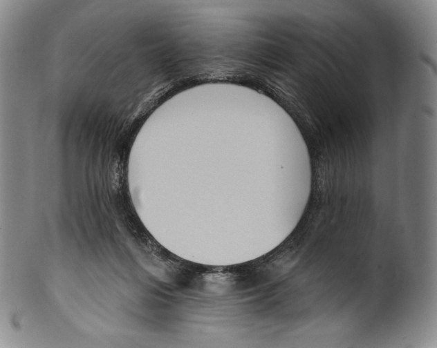 X0000099440216200806061051