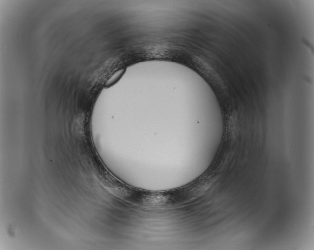 X0000099440217200806061051