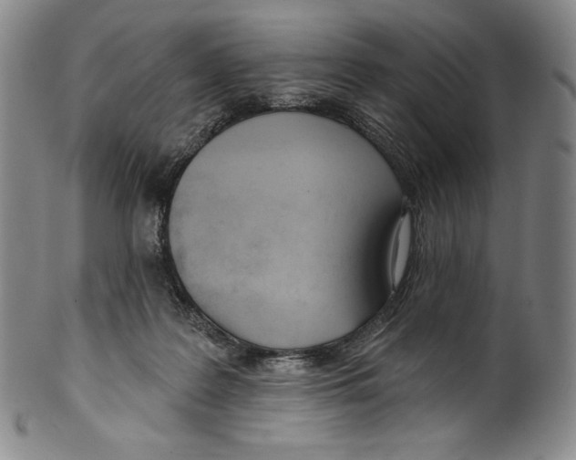 X0000099440219200806061051