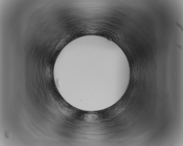 X0000099440220200806061051