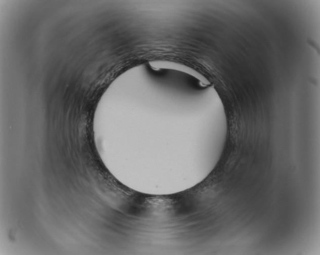 X0000099440221200806061051