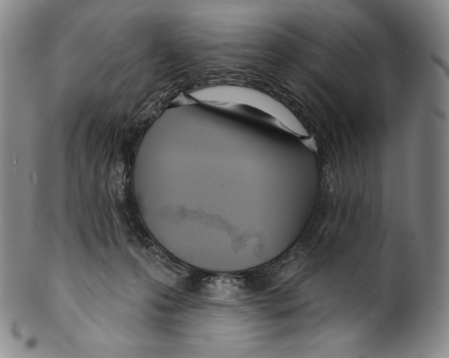 X0000099440223200806061051