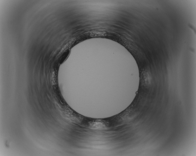 X0000099440224200806061051