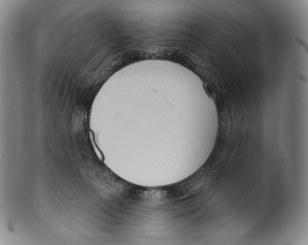 X0000099440225200806061051