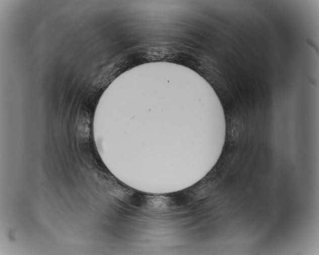 X0000099440226200806061051