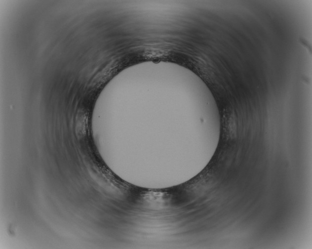 X0000099440227200806061051