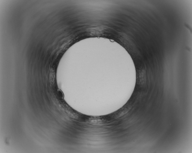 X0000099440228200806061051