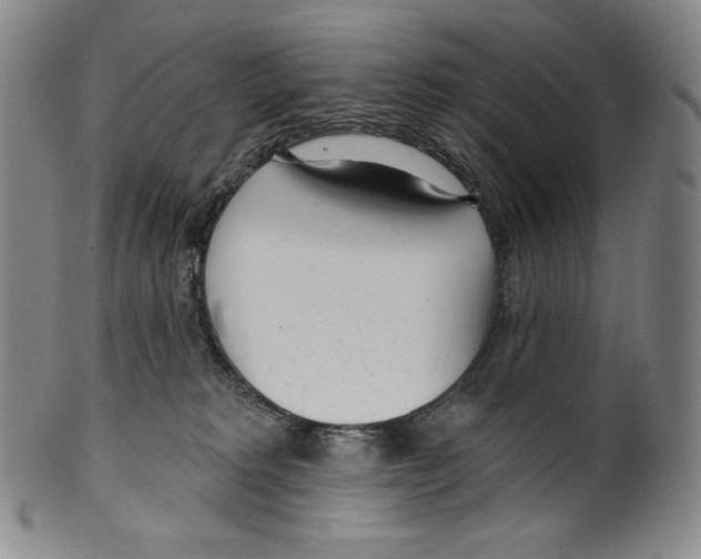 X0000099440229200806061051