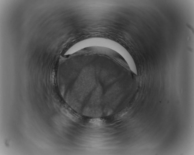 X0000099440231200806061051