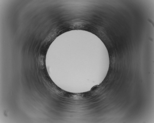 X0000099440232200806061051