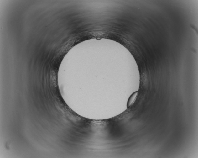 X0000099440234200806061051