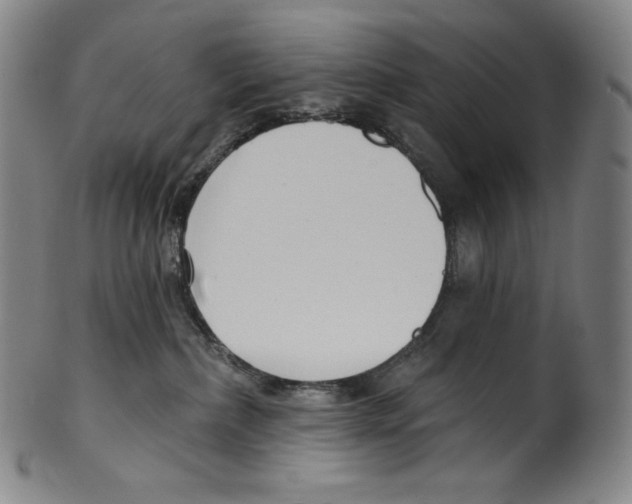 X0000099440236200806061051