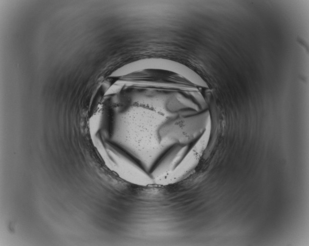 X0000099440237200806061051