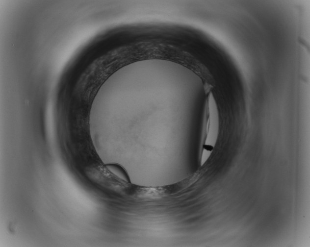 X0000099440239200806061051