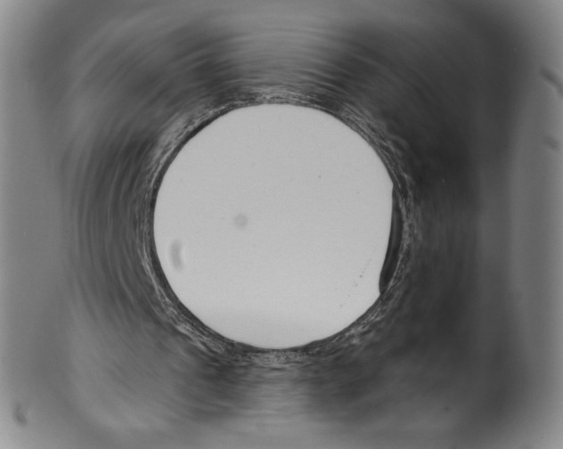 X0000099440241200806061050