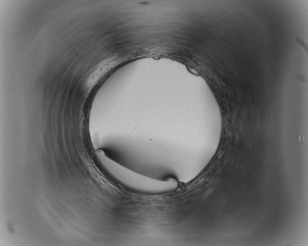 X0000099440242200806061050