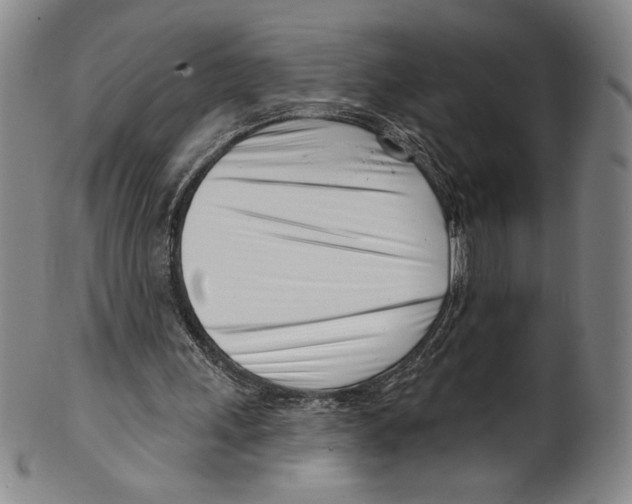 X0000099440243200806061050