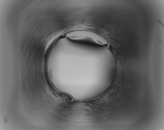 X0000099440244200806061050