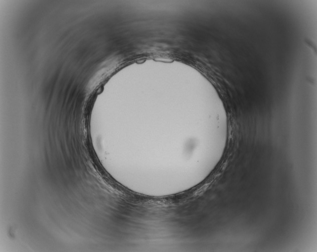 X0000099440245200806061051