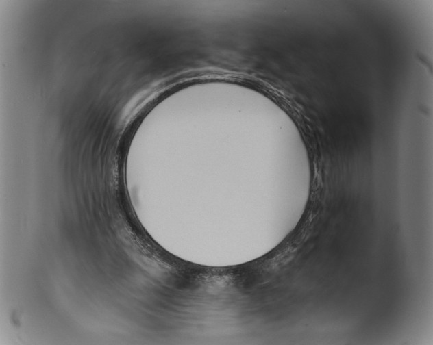 X0000099440247200806061051