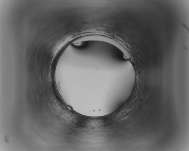 X0000099440248200806061051