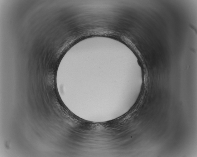 X0000099440249200806061051