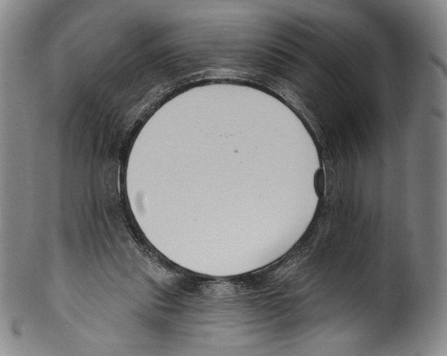 X0000099440253200806061051