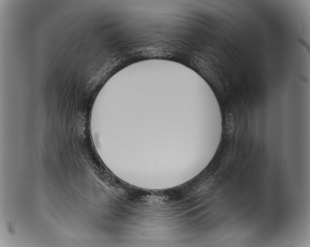 X0000099440255200806061051