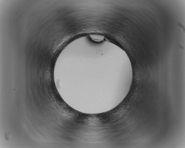 X0000099440256200806061051