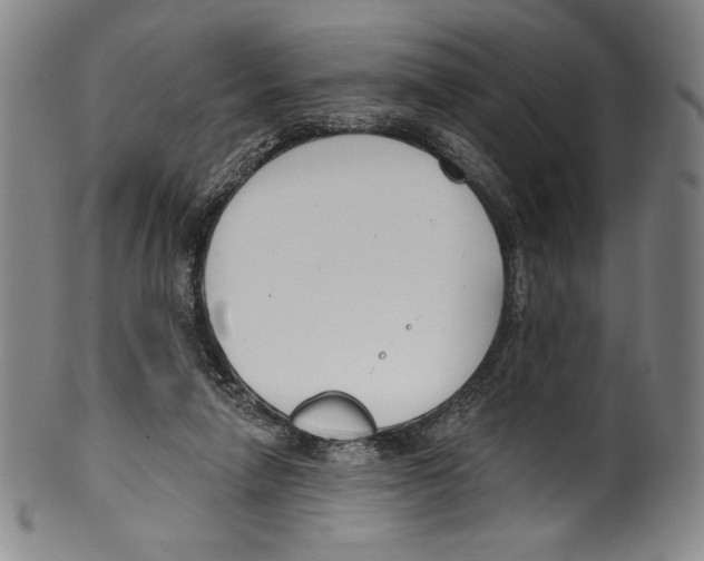 X0000099440258200806061051