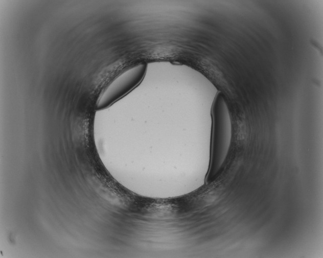 X0000099440260200806061051