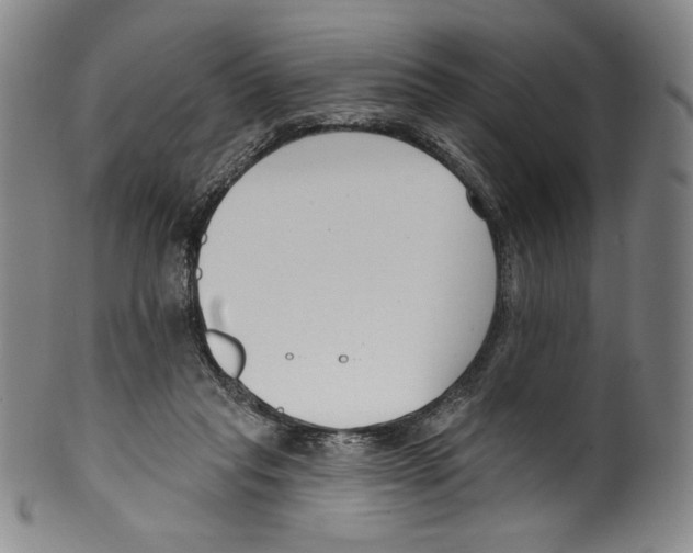 X0000099440261200806061051