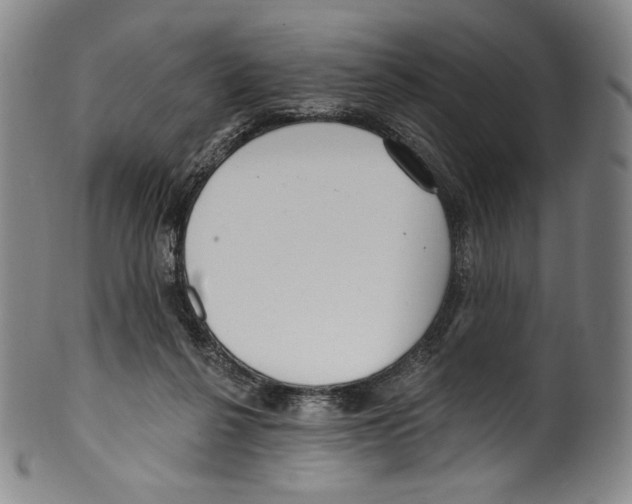 X0000099440264200806061051