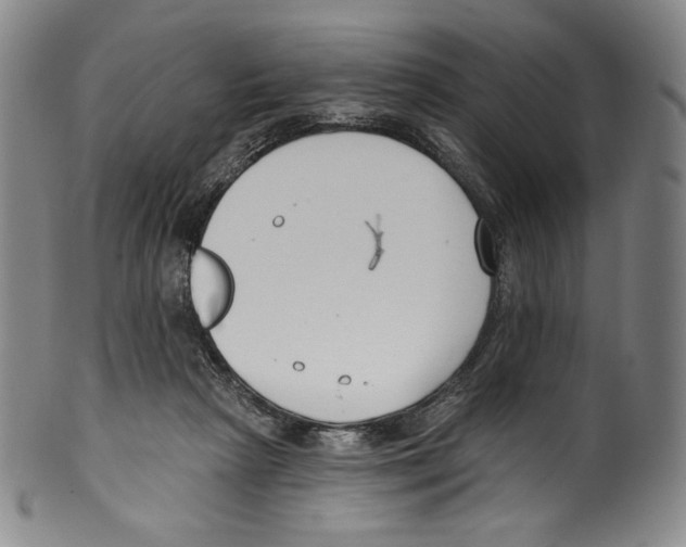 X0000099440265200806061051