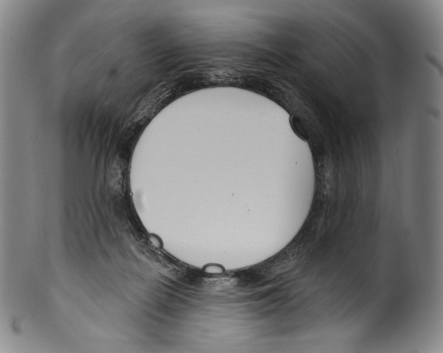 X0000099440266200806061051