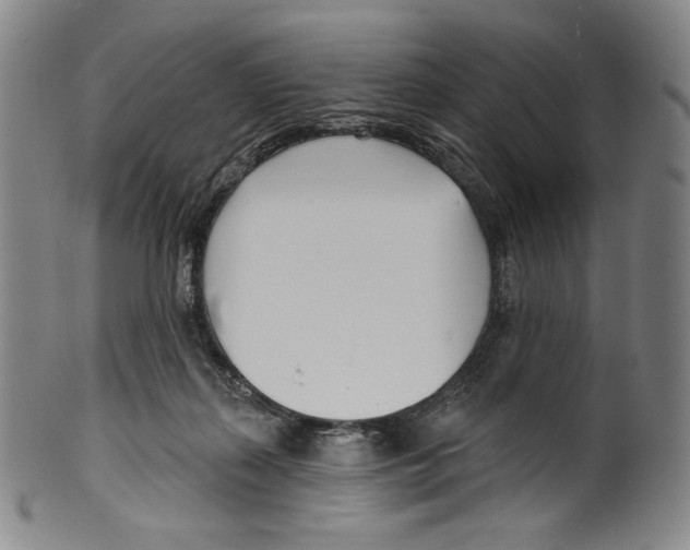 X0000099440267200806061051