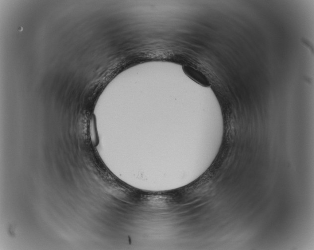 X0000099440268200806061051