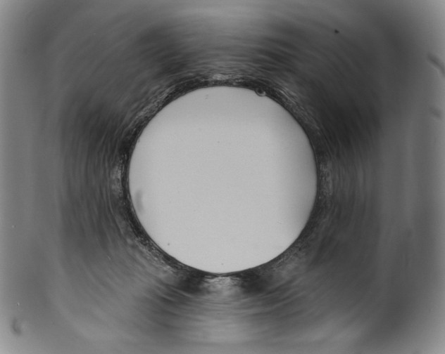 X0000099440269200806061051