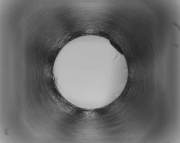 X0000099440272200806061051