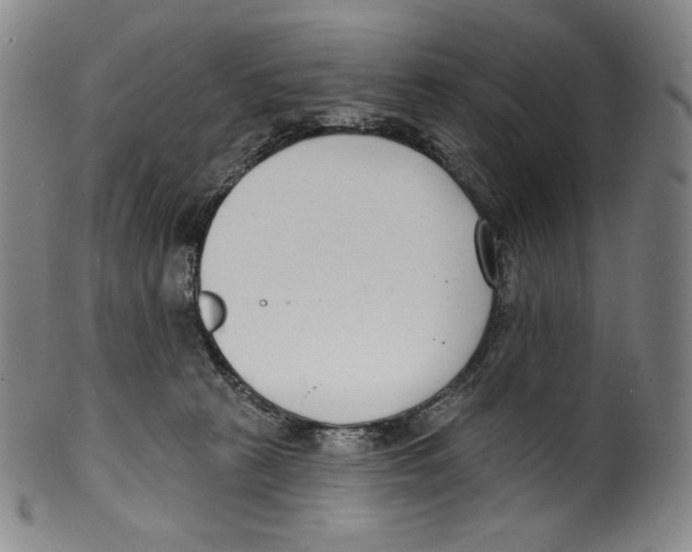 X0000099440273200806061051