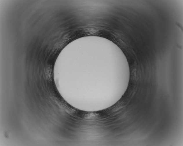 X0000099440274200806061051