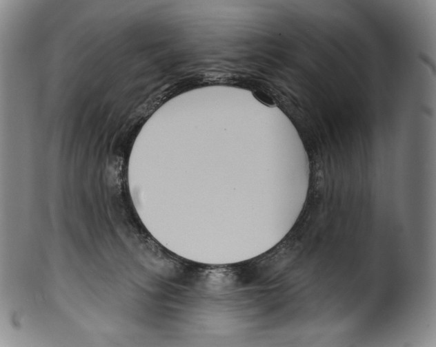 X0000099440275200806061051