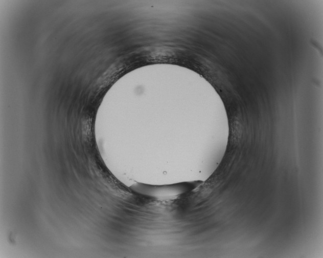 X0000099440278200806061051