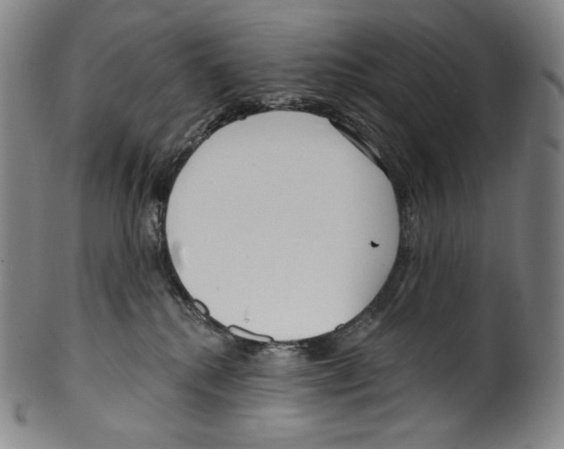 X0000099440280200806061051