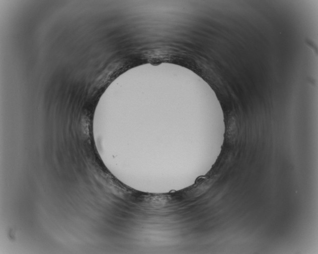 X0000099440282200806061051