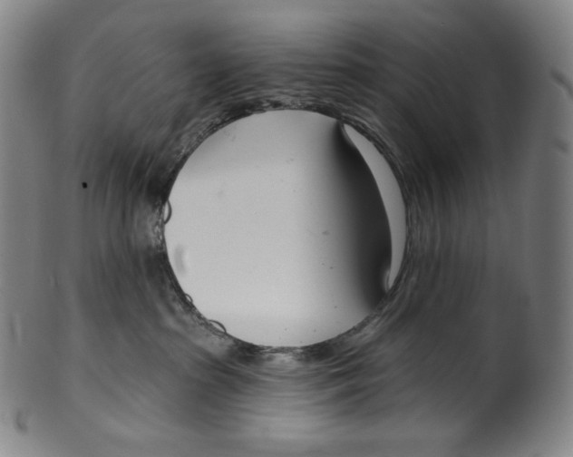 X0000099440285200806061051